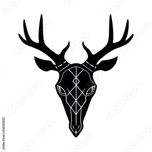 vector illustration of a deer
