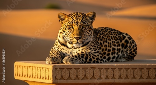 Ai generated image of a majestic leopard rests on a stone ledge in the desert sunset