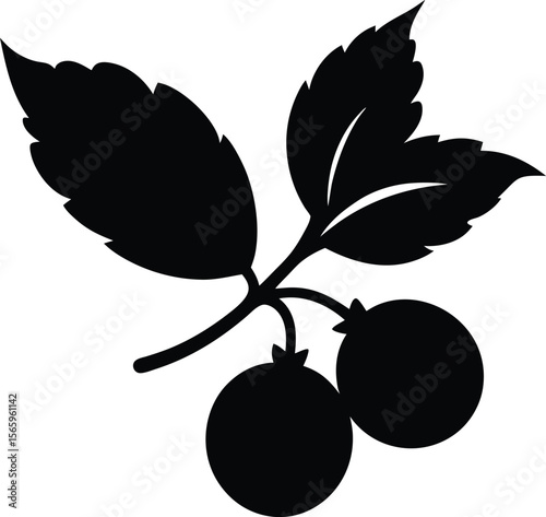 Hawthorn Berry minimal clean design silhouette vector art illustration