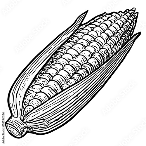 Corn