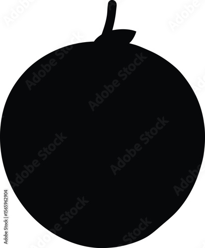 Spondias Hog Plum minimal clean design silhouette vector art illustration