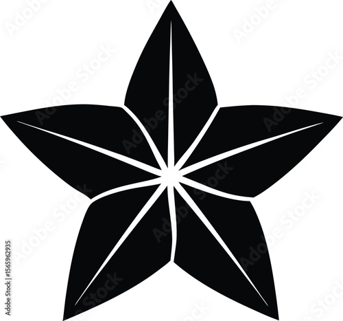 Starfruit minimal clean design silhouette vector art illustration