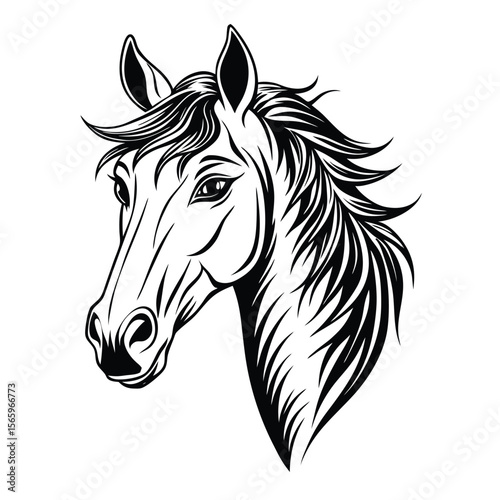 horse vector illustration