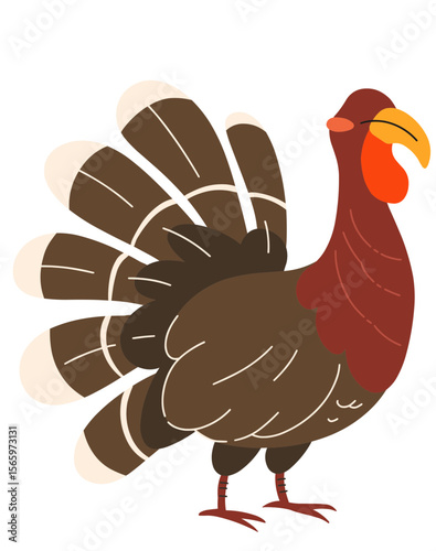 Illustration of Brown Turkey