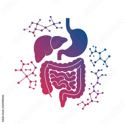 Illustration of human digestive system organs, including liver, stomach, and intestines, surrounded by molecule structures, with a gradient color scheme.
