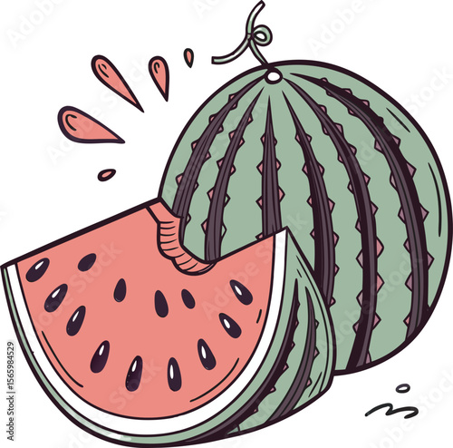 Vector illustration of a watermelon design free online download.