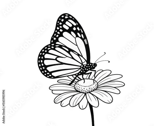 "Butterfly on a Daisy – Nature in Line Art"