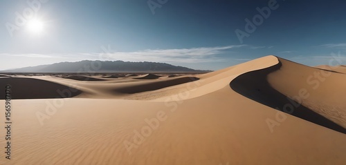 Fototapeta Naklejka Na Ścianę i Meble -  Desert landscape with sand dunes and clear sky