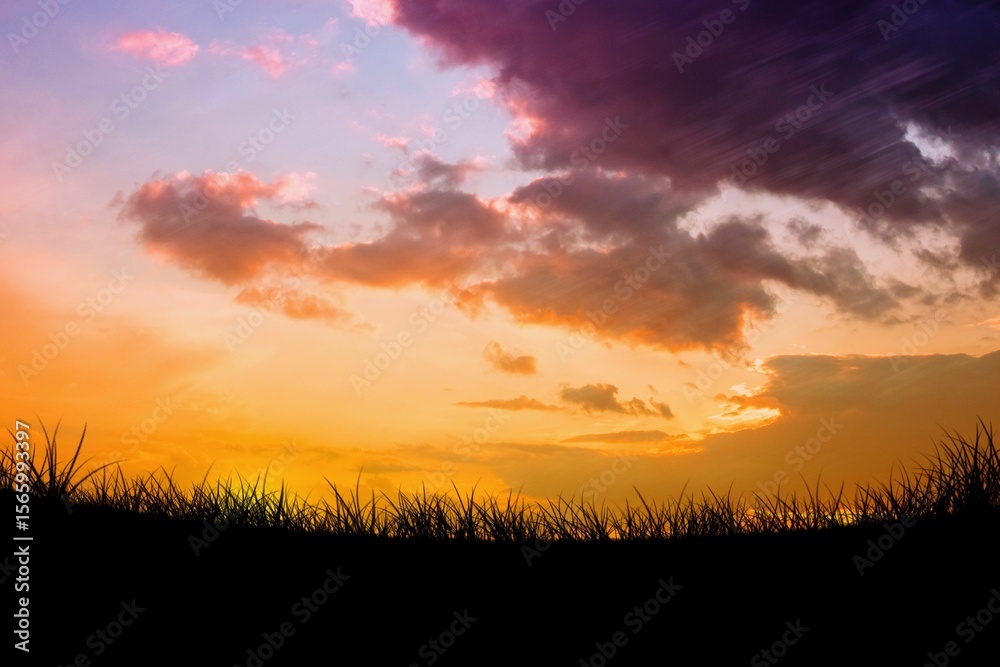 Naklejka premium Silhouetted grasses are swaying across field beneath vibrant sunset sky with clouds in flat design
