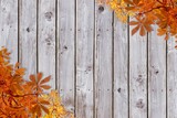 Illustrating weathered wooden planks in flat design, framing with orange yellow autumn leaves
