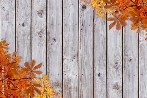 Illustrating weathered wooden planks in flat design, framing with orange yellow autumn leaves