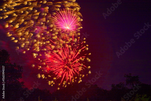 Pink and purple night sky with beautiful fireworks exploding over the tree tops celebrating the 4th of July
