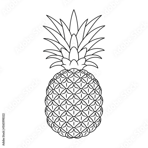 pineapple vector illustration coloring page