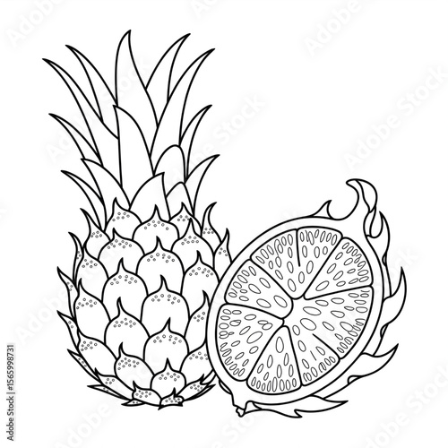 Dragon fruit coloring page line art 