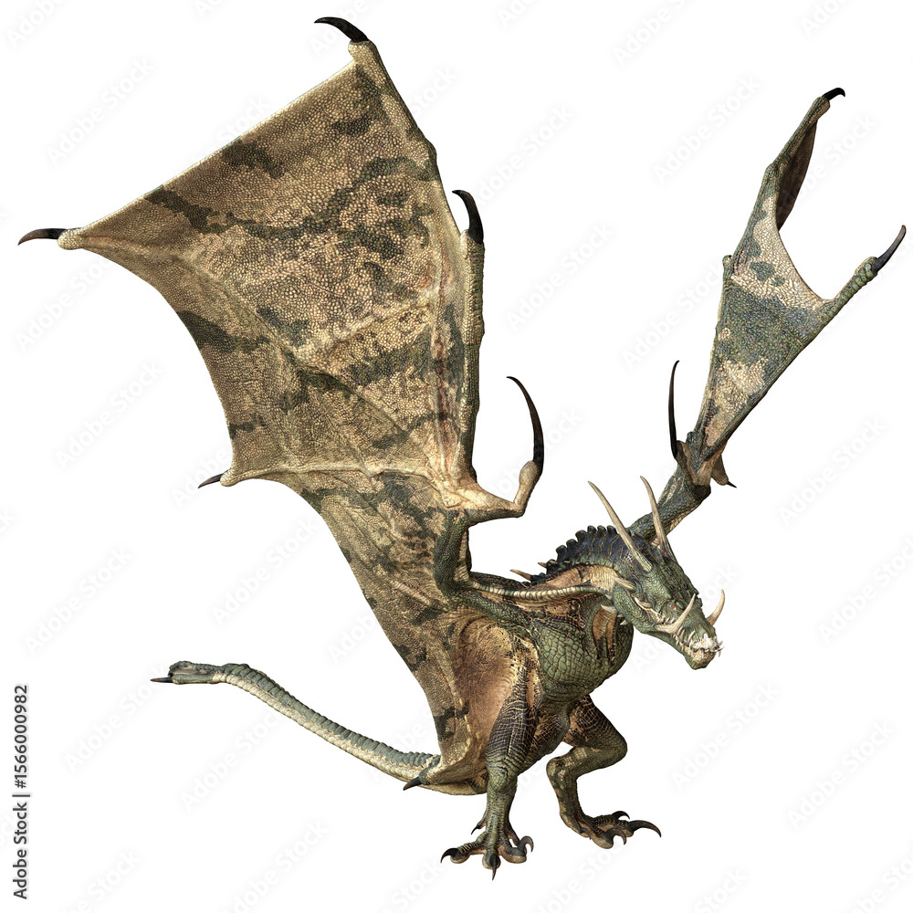 Obraz premium 3D rendered fantasy dragon