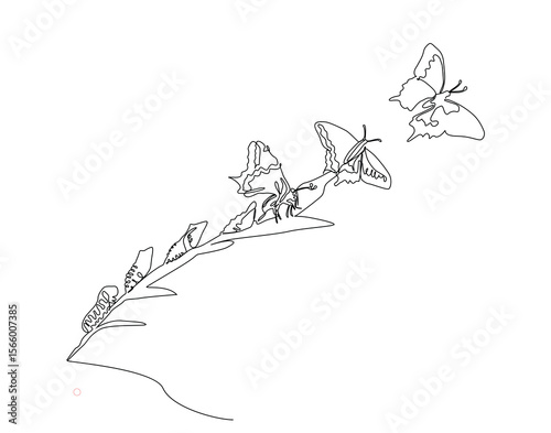 Continuous one art of drawing of butterfly life cycle. One line drawing illustration of butterfly metamorphosis.