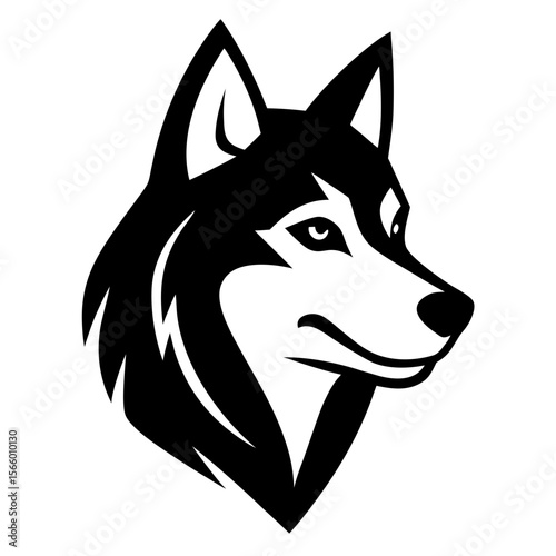 A wolf head stares intently, isolated on white background