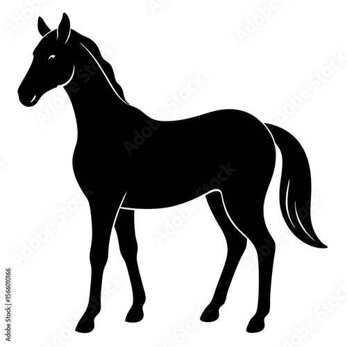 A black horse is standing isolated on white background