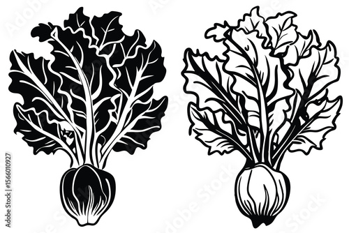 Elegant Beetroot Illustrations Black and White Vector Graphics for Culinary Designs