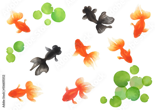 水彩画の金魚イラスト