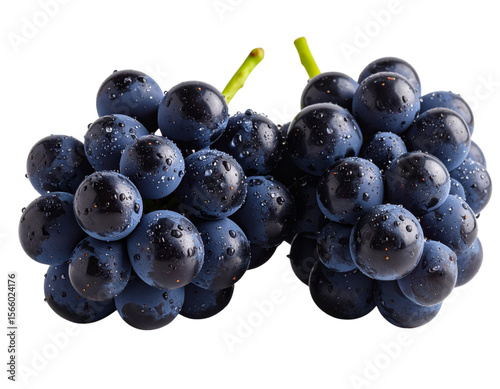 “Minimalistisches Nahaufnahme-Set von drei Weintrauben mit Wassertropfen, Seitenansicht, freigestellt”