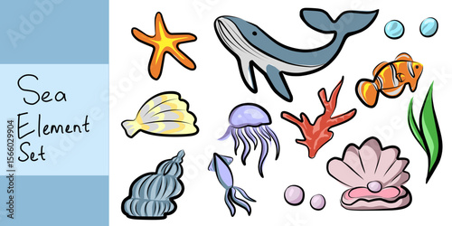 set of sea animal and shells