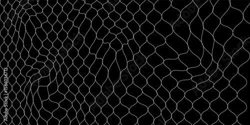 Abstract Black and White Geometric Pattern with Flowing Mesh Design vector illustrator eps10