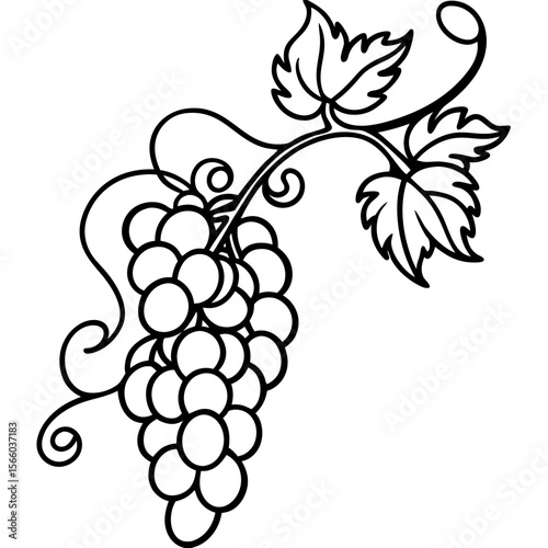 Retro Vine Flourish