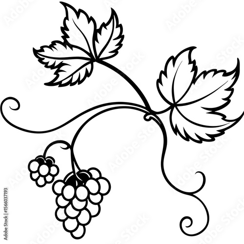 Retro Vine Flourish