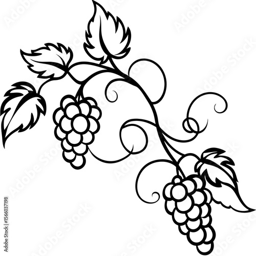 Retro Vine Flourish