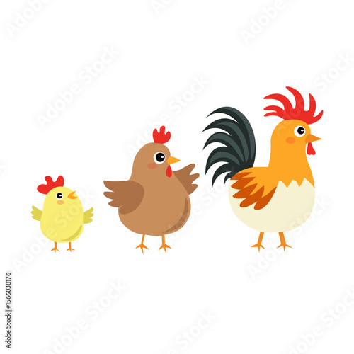 Adorable vector illustration of a chicken family: chick, hen, and rooster. Great for educational content, farm-themed designs, and children’s learning materials.