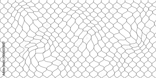 Abstract Black and White Geometric Pattern with Flowing Mesh Design
