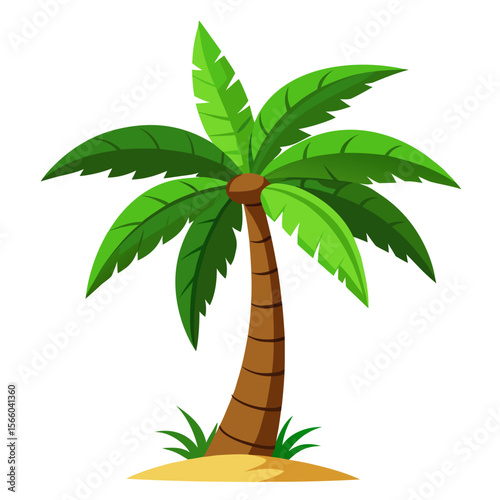 Coconut palm tree vector