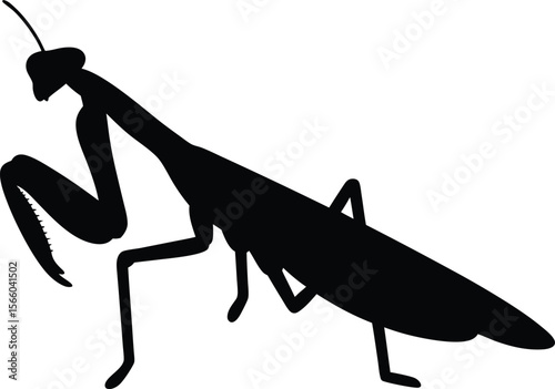Mantis silhouette vector illustration, Mantis icon isolated vector art