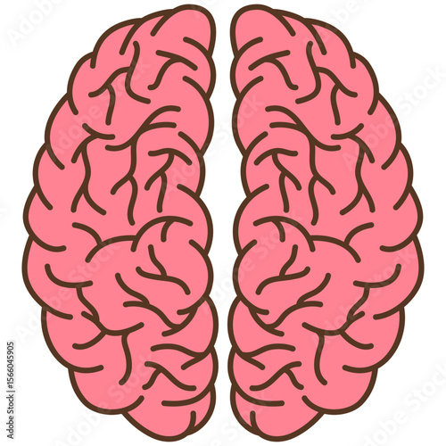 brain human anatomy cartoon illustration