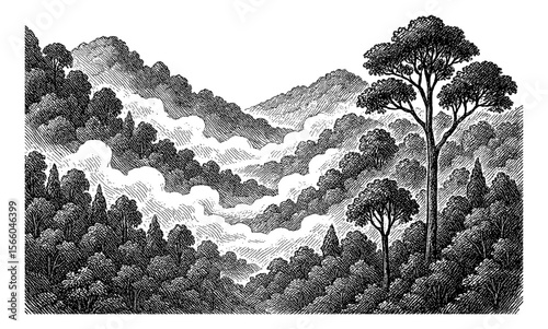 Engraving of Forest with Trees, Hills, and Clouds in Black and White Detailed Line Art Drawing