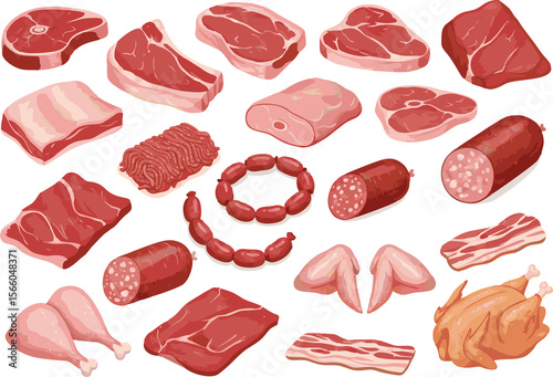 A detailed flat vector illustration of various types of raw and processed meat products