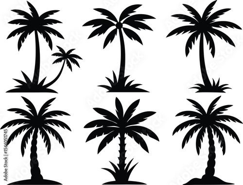 Silhouette of palm trees, Collection of silhouette palm trees arranged in different styles and sizes for tropical-themed design
