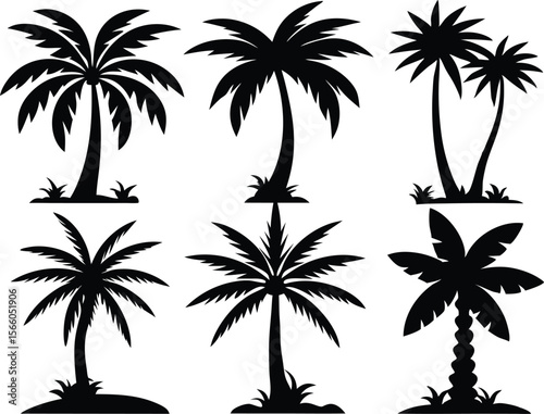 Silhouette of palm trees, Collection of silhouette palm trees arranged in different styles and sizes for tropical-themed design