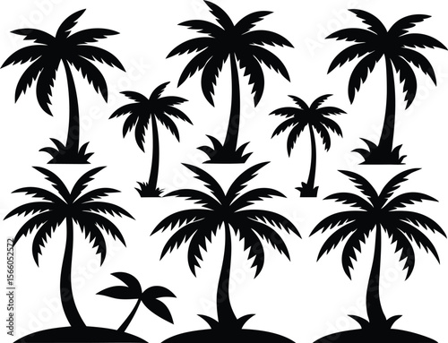 Silhouette of palm trees, Collection of silhouette palm trees arranged in different styles and sizes for tropical-themed design