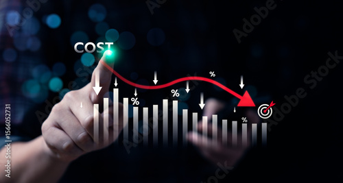 Canvas Print Cost reduction strategy for business efficiency and financial management, budget