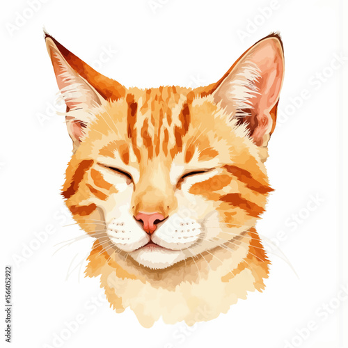 Orange tabby cat face smiling with closed eyes on white background  