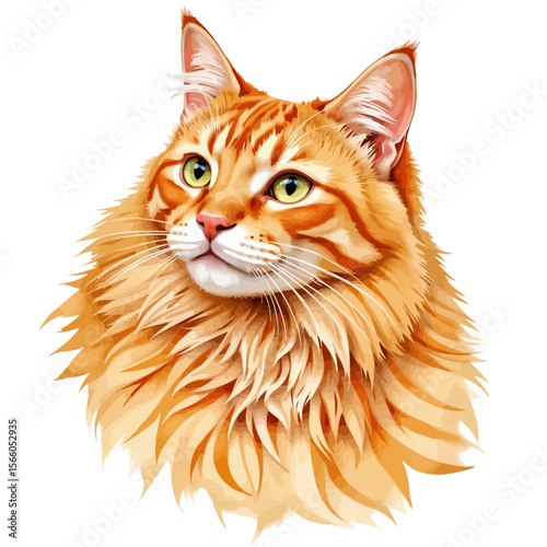 Orange Maine Coon cat portrait with bright eyes and fluffy fur  