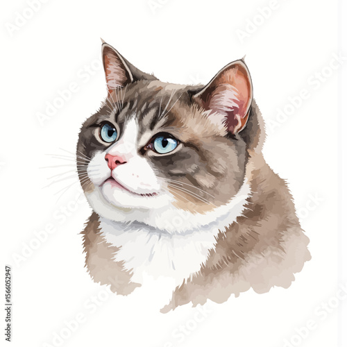 Cat portrait with blue eyes and fluffy coat in realistic style  