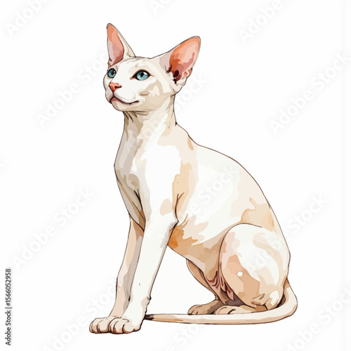 White cat sitting with blue eyes in a calm pose  