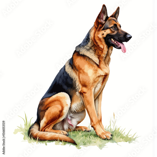 German Shepherd dog sitting with tongue out on green grass  