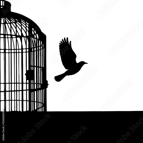 birds out of  cage