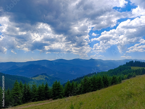 A grassy hillside with trees and mountains in the background