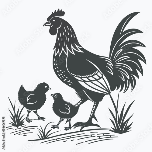 Rooster and hen vector design free download.