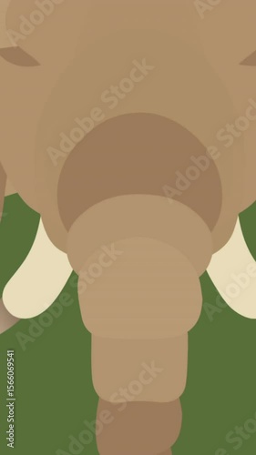 Animation of head of elephant with tusks, on green background